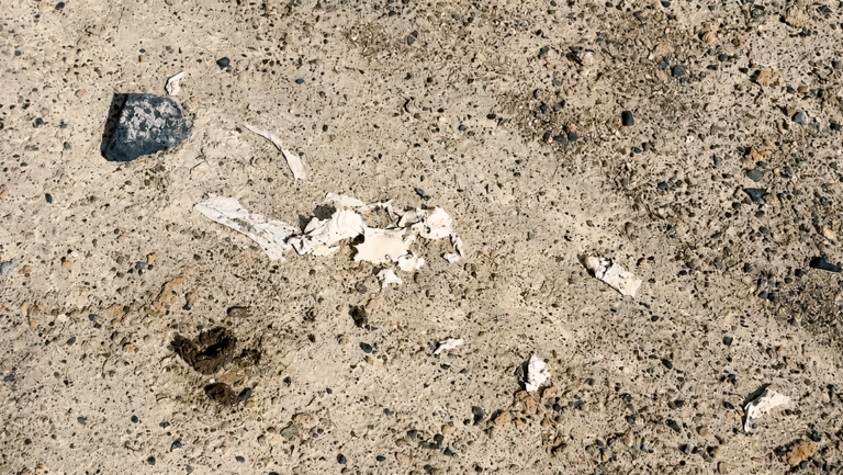 Paper-Refuse from Burning Man_Oct 2024